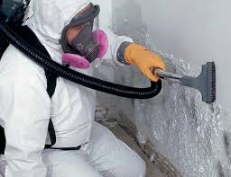 Best Comprehensive Air Testing for Mold Contaminants  in La Joya, TX